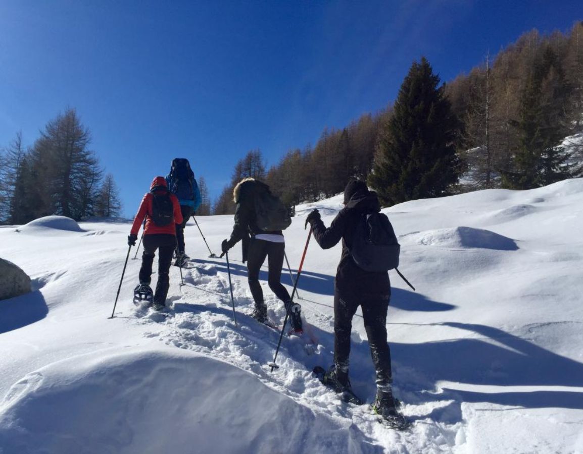 Paysages immaculés en randonnée en raquettes à neige avec Clément Vieau